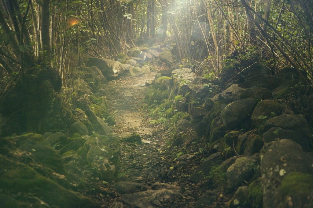 Chemin