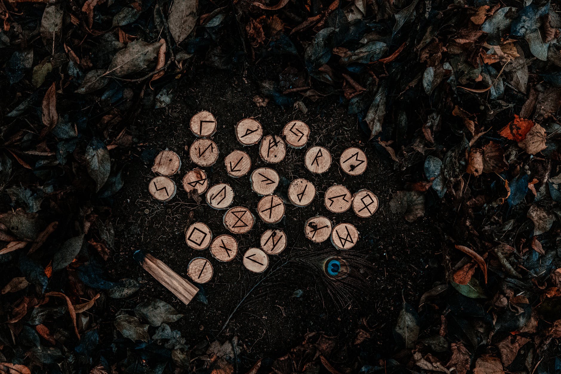 Runes mystérieuses gravées sur des rondelles de bois et posées sur un tapis de feuilles de la forêt.